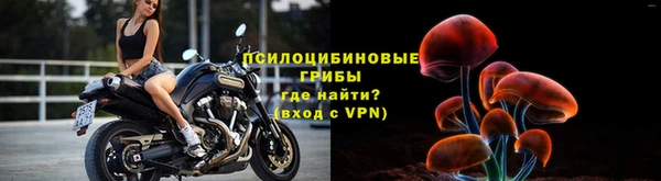 не бодяженный Гусев