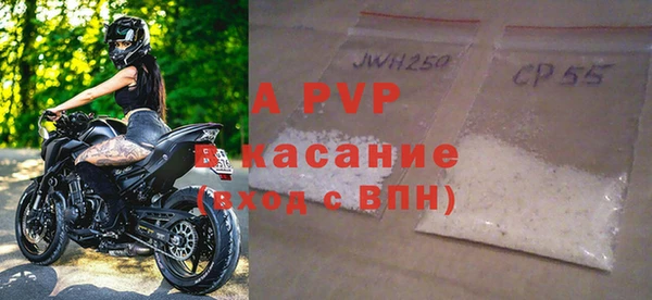 амф Щигры