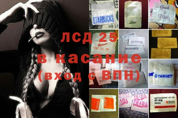 амф Щигры