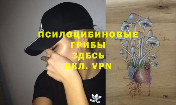 СК Гусиноозёрск