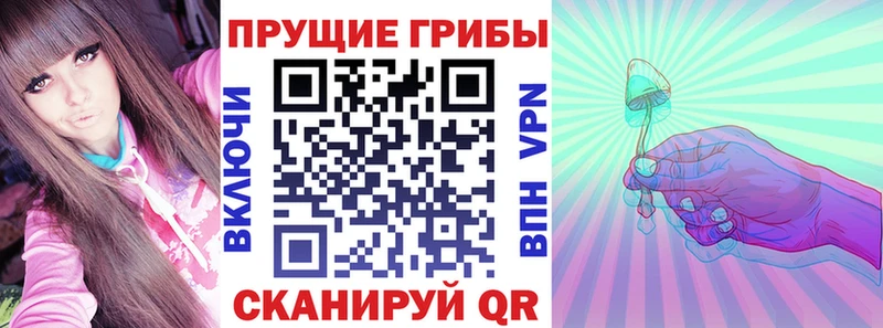 Галлюциногенные грибы Psilocybe  ОМГ ОМГ рабочий сайт  Карачаевск  наркотики 